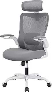 [Oos Living] Mona Ergonomic High Back Flipped Armrest Task Chair, Grey
