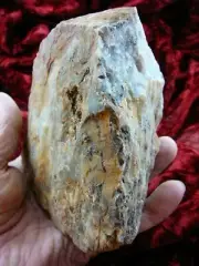 (DF843-107) 2.5 pounds Fossil REAL DINOSAUR POOP Coprolite Dino genuine DUNG Poo