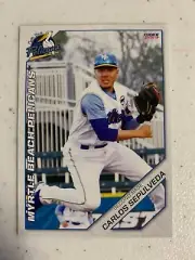 Carlos Sepulveda 2019 Myrtle Beach Pelicans Team Card