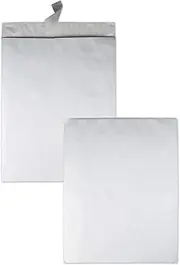 Survivor R5121 Tyvek Open-End Jumbo Mailers,Plain,18-Inch X23-Inch,25/Bx,White