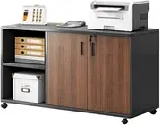 File Cabinet Filing Cabinet Low Cabinet Desk Side Cabinet Side Cabinet Printer Placement Cabinet with Lock Drawer Cabinet Mobile Storage Cabinet Office Drawer(Natural)