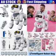 Remote Control Toys Programmable Smart Dancing Stunt Intelligent Robot Dog Kids