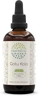 Gotu Kola B120 Tincture Alcohol-Free Herbal Extract, Super-Concentrated Organic Gotu Kola (Centella Asiatica) 4 fl oz