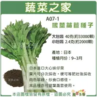 在飛比找樂天市場購物網優惠-【蔬菜之家】A07-1.嫩莖萵苣種子(共2種包裝)