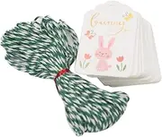 HIAKDOFT 100pcs Easter Craft Tags Creative Rabbit Paper Labels for Adorable Message Tags for Easter Party Decorations and Bookmarking