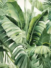 [Namly Design] Poster - Green Leaves