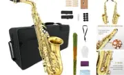 Alto Saxophone Beginner Kit for Adults, Student Saxophone Eb, Professional