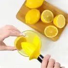 4 in 1 Manual Citrus Juicer Fruit Lemon Orange Juicer Press Squeezer Peeler AU