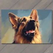 4x6" German Shepherd Gazing Up at the blue Azure Sky.