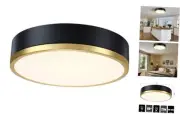 Flush Mount Ceiling Light Fixture, Black Gold LED Ceiling Light, 13 Inch 22W