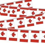 32FT Small Canada Pennant Flag Bunting,30 PCS Mini String Banner Strip Canadian National Decor Rectangle for Holiday Restaurant Home Party School