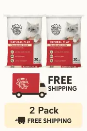 Special Kitty Unscented Non-Clumping Natural Clay Litter, 20 lbs ( Pack of 2 )