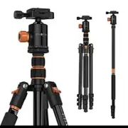 77" Camera Tripodtravel Tripod For Dslrprofessional Tripod With 360 Degree Ball