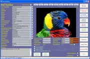 Bird Collector and Breeder Image Database Software CD Windows 7/8/10/11 XP Vista