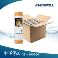 在飛比找蝦皮商城優惠-EVERPOLL 道爾樹脂濾心 EVB-M100A 《25支