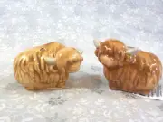 Cracker Barrel Ceramic Mini BUFFALOS/BISONS Salt & Pepper Shaker Set - NEW
