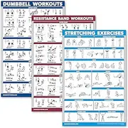 Palace Learning 3 Pack: Dumbbell Exercise Poster + Resistance Bands Workouts + Stretching Exercises - Set of 3 Workout Charts (LAMINATED, 18" x 24")