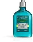 L'Occitane En Provence L'Homme Cedrat Men's Perfumed Shower Gel 8.4 oz New