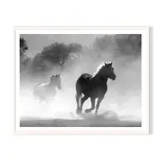 Equine Dust Framed Wall Art - White