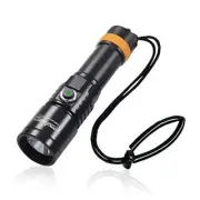 D530 Scuba Dive Light, 1300 Lumens, 8 Degrees Narrow Beam Angle, Titanium