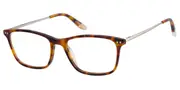 O'Neill ONB 4024 102 Women’s Glasses Tortoiseshell Size 52 - Private Health Rebate - Blue Light Block Available