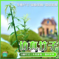 在飛比找蝦皮購物優惠-【揪吉】仿真竹子 園藝造景 微景觀 圍籬 多肉 盆栽 造景 