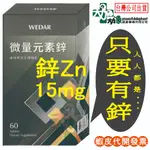 ☆現貨24小時內出貨☆【WEDAR薇達】微量元素鋅 60顆/瓶 每顆15MG 維持男性生理機能 男性保健 鋅 ZN