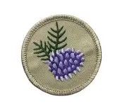 BSA Licensed Boy Scout Purple Pine Cone Patrol 2 Inch Patch AVABQ0327 F8D1V
