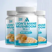 Lion's Mane Mushroom - with Reishi,Cordyceps -Enhances Immunity,Cognitive Health