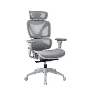 Lucille Ergonomic Adjustable High Back Office Chair