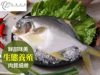 在飛比找鮮拾優惠-【鮮食堂】生態養殖黃金鯧3包組