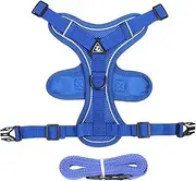 Escape Proof Cat Harness, Cat Harness - High Performance Kitten Lead, Cat Harness and Lead Set for Walks with Kittens and Puppies, Escape Proof Kitten Harness, Reflective