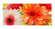 Floral Tango Sassafras Switch Mat 22 x 10