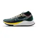 Nike Pegasus Trail 4 Gore-Tex 男 綠 越野 防水 訓練 運動 慢跑鞋 FD0317-333