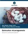 Cindy Yurixa Orozco Vilchez Ana Belén Vega Le Quiscalus nicaraguens (Paperback)
