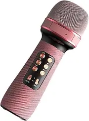 Dynamic Vocal Microphone for Singing, Microphone for Singing - Portable Cordless Mic Speaker | Multifunctional Cordless Microphones, Speakers, Voice Recorders, Music Players for Friends Family