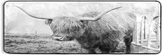 Highland Cow Hallway Runner Rugs Kitchen Floor Mats Laundry Farmhouse Living Room Decor Area Rug 72x24in, Isle of Mull Style
