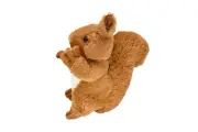 Squirrel Brown Super Cute Soft Stuffed Realistic Plush Animal, Gift, Educational