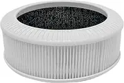 QUEENTY True HEPA Filter - Replacement Air Purifier Filter Odor Allergies Eliminator for Smoke, Dust, Home, Office and Pets (for FC02 Only)