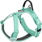 SMALL COMBINATION Dog Harness,No-pull Dog Harness,Adjustable Vest with Durable Handle,Small and medium-sized dog,Outdoor Training Walking Green(Aqua Green, XS)