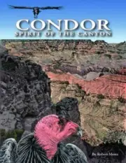 CONDOR: SPIRIT OF THE CANYON By Robert Mesta & Lawrence Ormsby