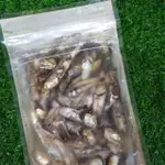 【首爾先生MRSEOUL】韓國提魚魚乾 150G 熬湯專用，效期 2023.2.30