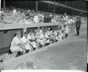 Former Yankees Gather In Dugout At Old Timers Day 1950 Baseball Old Photo