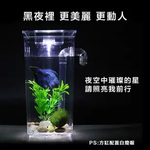 [現貨]方形 自動換水 懶人魚缸 小魚缸 鬥魚缸 魚缸 水族箱 生態缸 桌面魚缸 迷你魚缸 風水缸 迷你懶人自動換水魚缸