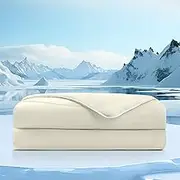 HOMELAB® BlueCool™ Cooling Comforter for Hot Sleepers, Night Sweats Relief, Breathable Lightweight and Smooth Blanket with Silk Blend Filling, Q-Max>0.4, White Queen Size 90"x90", Quick Cool Down
