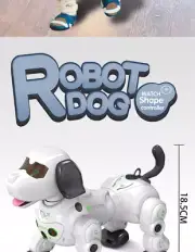 Smart Robot Remote Control Pet Dog Walks, Follows Great Kids