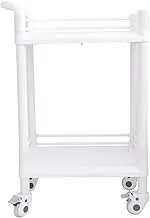 Healeved Home Salon Storage Rack Simple Small Trolley Double-layer Instrumental Trolley Easy to Clean