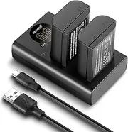 [NEEWER] DMW-BLK22 Replacement Battery and Charger Set, 2 Pack 2400mAh Batteries and Type C Dual Channel USB Charger, Compatible with Panasonic Lumix DC-S5 DC-S5 II DC-S5 IIX GH5 II GH6 S5II S5M2 GH5M2