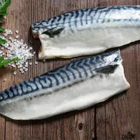 在飛比找鮮拾優惠-【鮮綠生活】(免運組)挪威薄鹽鯖魚S(毛重135克-170克