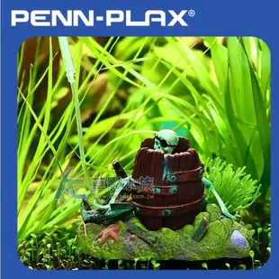 【AC草影】PENN-PLAX 龐貝 酒桶之王古拉格斯【一個】